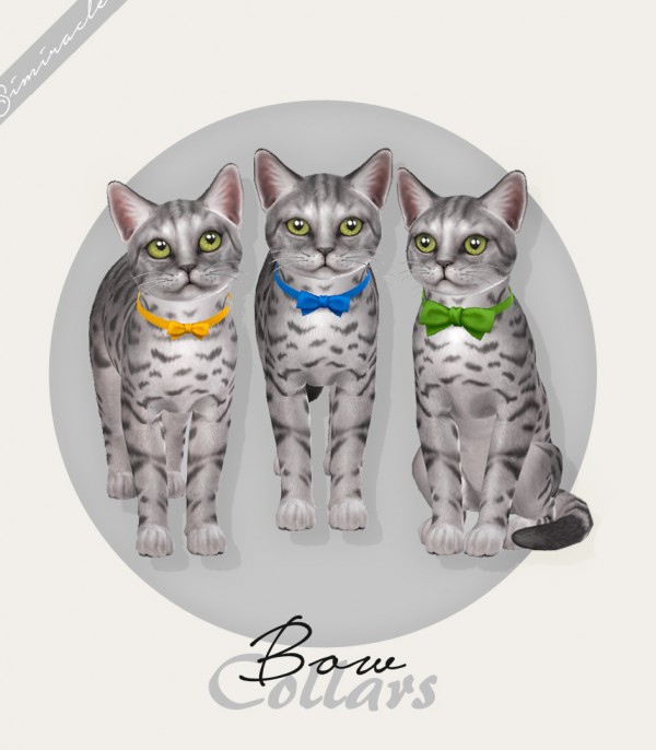  Simiracle: Bow Collars For Cats