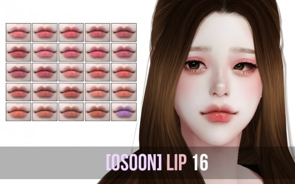  Osoon: OS Lip16