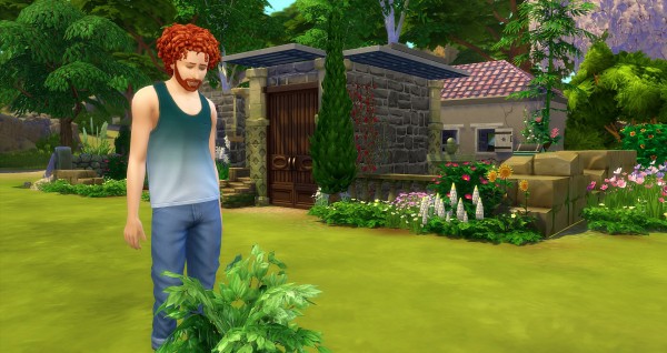 Studio Sims Creation: La Ruine house