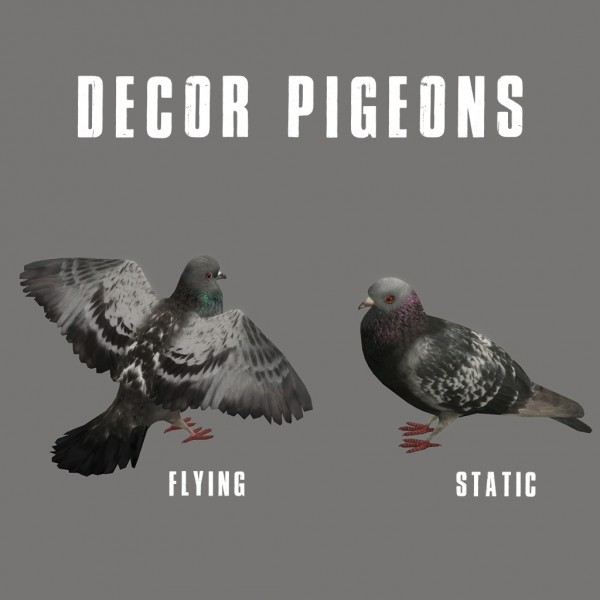  Leo 4 Sims: Decor pigeons