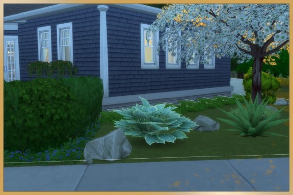  Blackys Sims 4 Zoo: Family house by Schnattchen