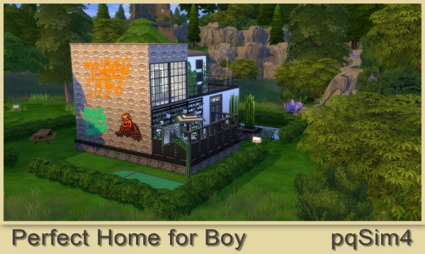  PQSims4: Perfect Home for a Boy