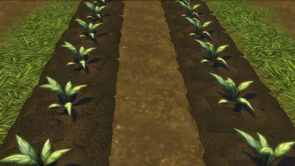  Mod The Sims: Farm and Orchard: Raised Row Gardening Soil Squares by Snowhaze