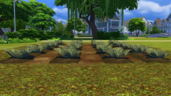  Mod The Sims: Farm and Orchard: Raised Row Gardening Soil Squares by Snowhaze