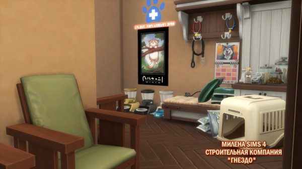  Sims 3 by Mulena: Vet clinic