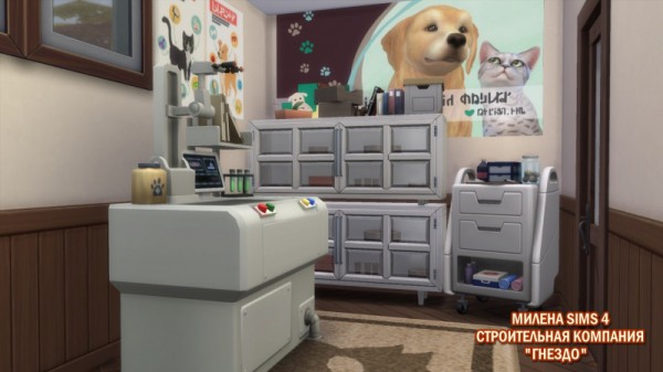  Sims 3 by Mulena: Vet clinic