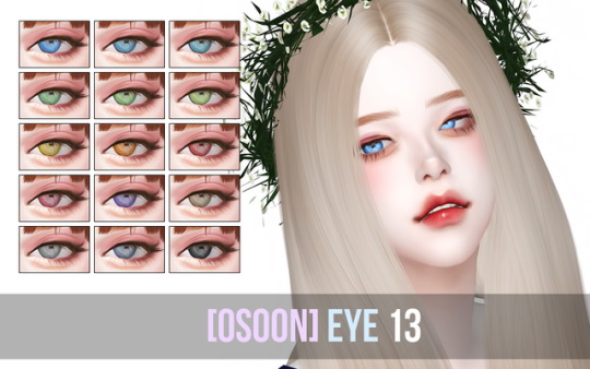  Osoon: OS Eye13