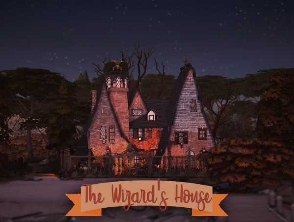  Miss Ruby Bird: The Wizard`s House