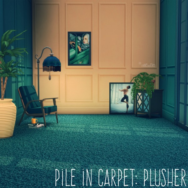  Picture Amoebae: Pile in Carpet: Plush and Plusher