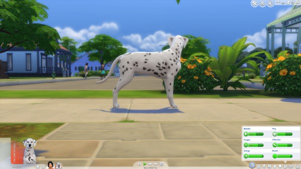  Mod The Sims: Pet Pregnancy Motive Decay Fix by n8smom8496