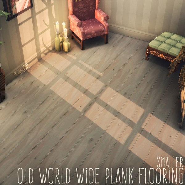 Picture Amoebae: Old World Wide Plank Floor