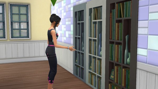  Mod The Sims: Book Shelf in Wall by iloveseals