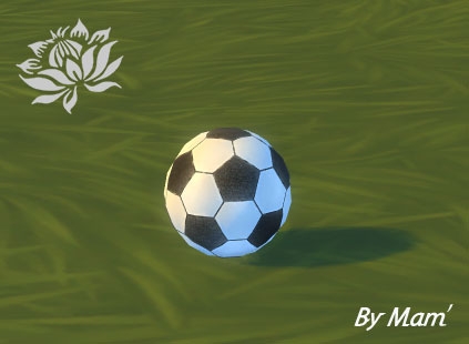  Sims Artists: Goal soccer ball