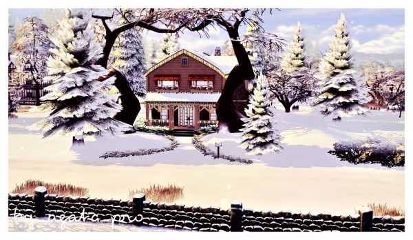  Agathea k: Winter Harbor House