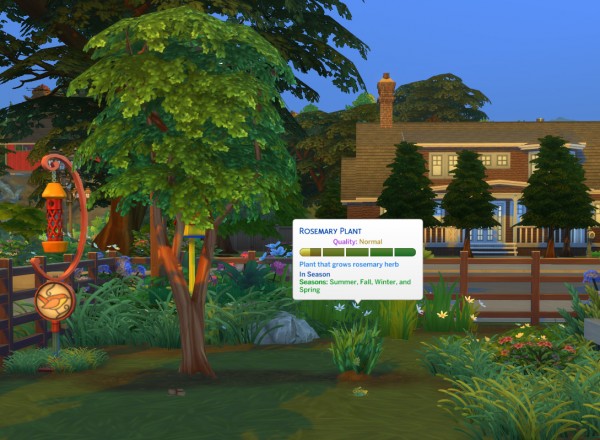  Mod The Sims: Harvestable Cinnamon and Rosemary by icemunmun