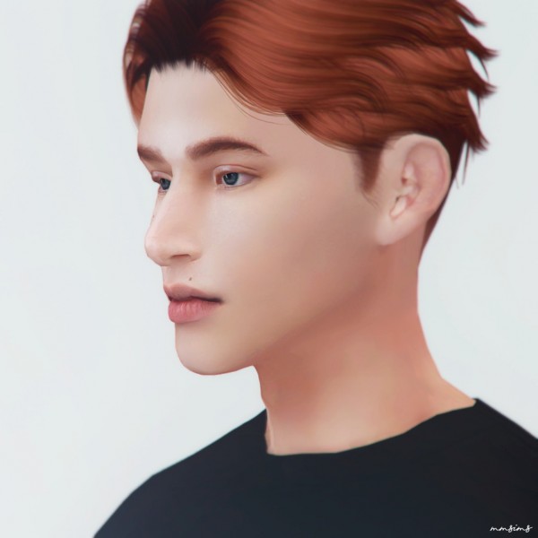  MMSIMS: Preset am Nose 1 and 2