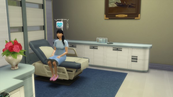  Mod The Sims: New Willow Creek Hospital (NO CC) by Mondrosen