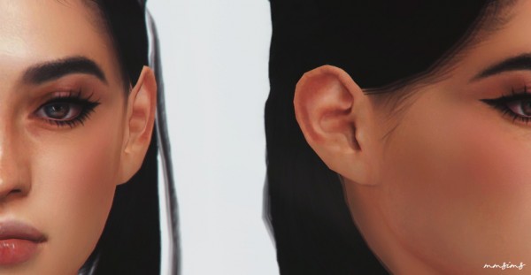  MMSIMS: Preset Ear 1 and 2