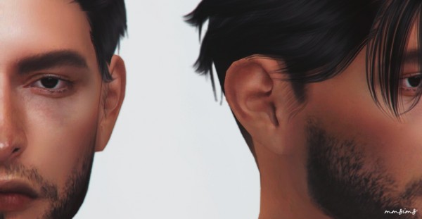  MMSIMS: Preset Ear 1 and 2