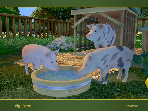  The Sims Resource: Pig Farm by soloriya