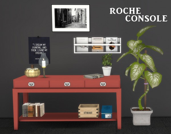  Leo 4 Sims: Roche Console