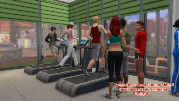  Sims 3 by Mulena: Gym in a container