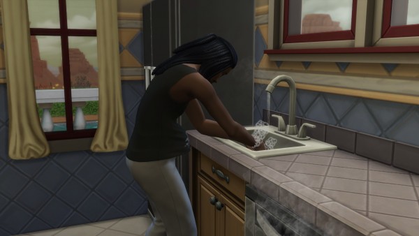  Mod The Sims: Sims Wash Hands Faster by bjnicol