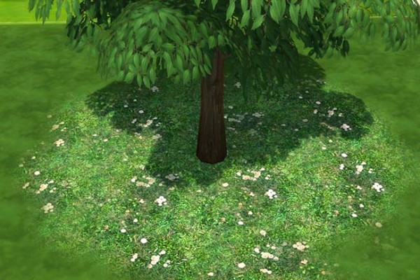  Blackys Sims 4 Zoo: Green Grass by sylvia60