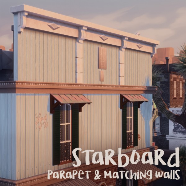  Picture Amoebae: Startboard Parapet and Walls