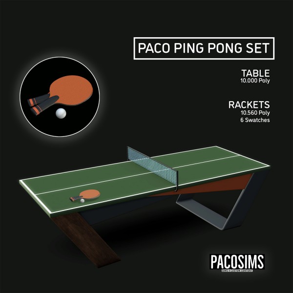  Paco Sims: Ping Pong Table