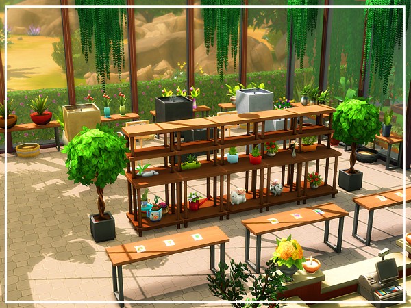  MSQ Sims: Oasis Garden Center