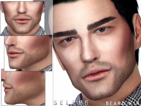  The Sims Resource: Beard N14 by Seleng