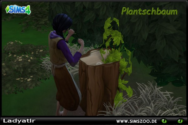  Blackys Sims 4 Zoo: Splash tree by ladyatir