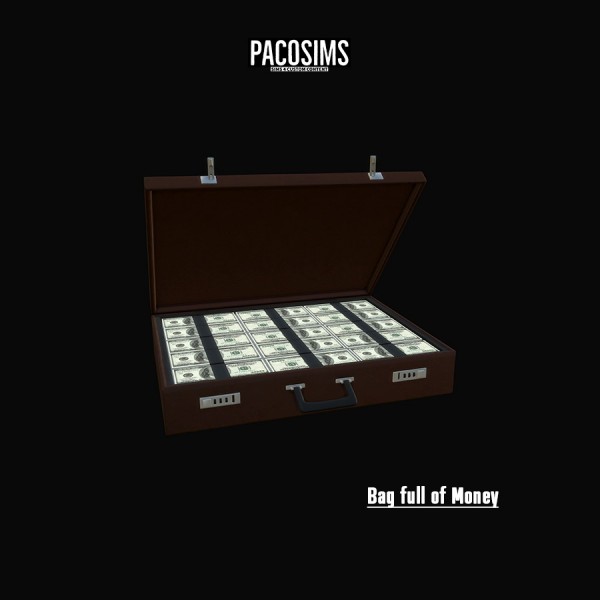  Paco Sims: Bag full of money Decor