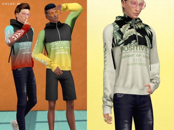  The Sims Resource: Hoodie Male by ChloeM