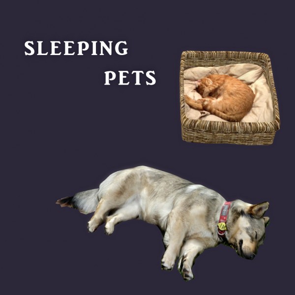  Leo 4 Sims: Sleeping Pets
