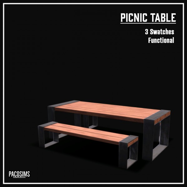  Paco Sims: Picnic table