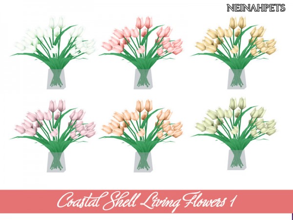  The Sims Resource: Coastal Shell Living Collection by neinahpets
