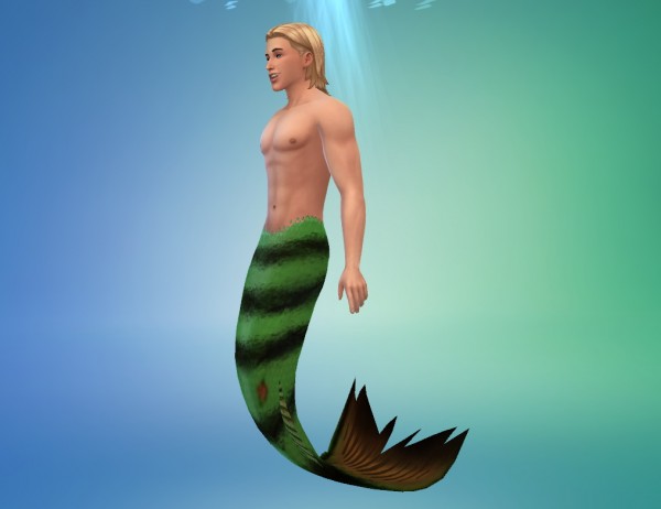  Mod The Sims: The Down Under Mermaid Set by SpinningPlumbobs