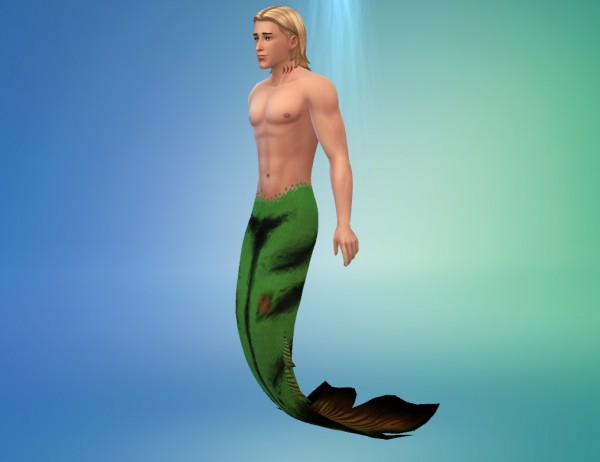  Mod The Sims: The Down Under Mermaid Set by SpinningPlumbobs