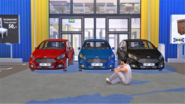  Lory Sims: Ford S Max