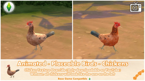  Mod The Sims: Animated   Placeable Birds   Chickens by Bakie