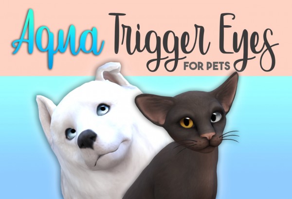  Miss Ruby Bird: Aqua Trigger Eyes for Pets