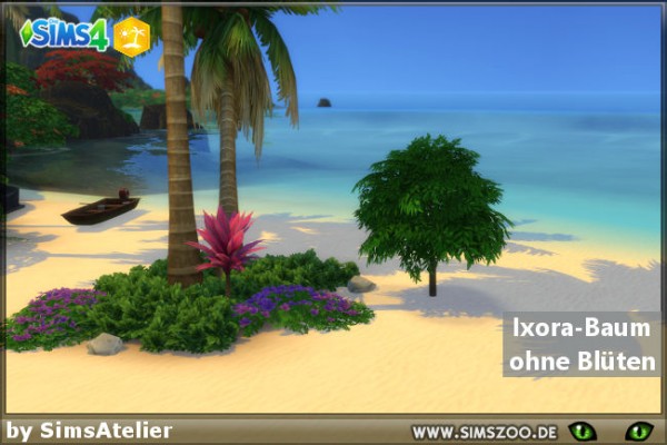  Blackys Sims 4 Zoo: Ixora Tree without flowers by SimsAtelier