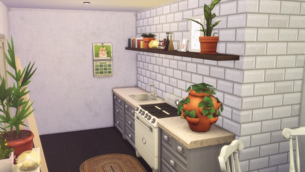 Gravy Sims: Tiny Kitchen