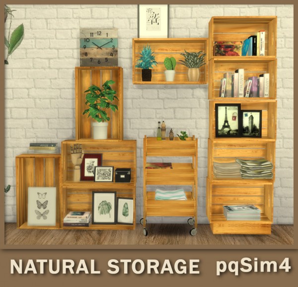  PQSims4: Natural Storage
