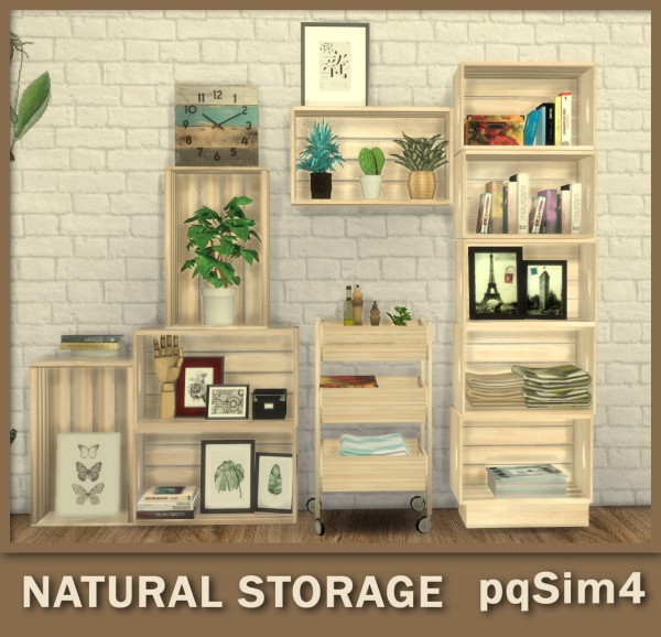  PQSims4: Natural Storage