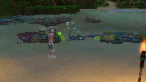  Mod The Sims: Shell fishing sign by Serinion