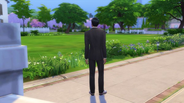  Mod The Sims: SimCity Insurance mod by mome89x