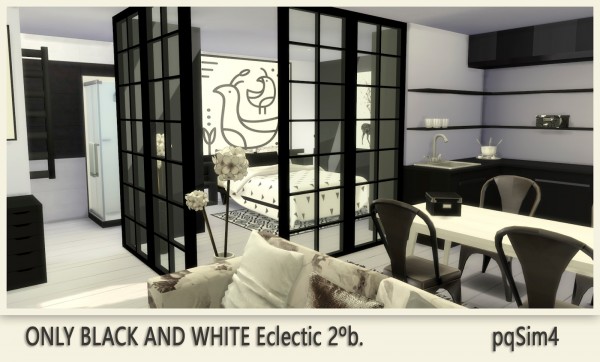  PQSims4: Only Black and White Appartment